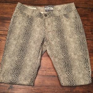 Hot Kiss Snake Print Skinny Pants